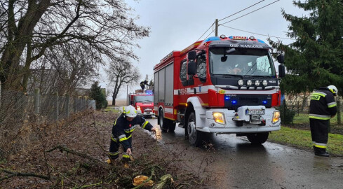 Wichury nad Polską. Strażacy walczą ze skutkami wiatru - grafika