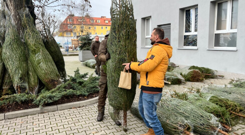 Świąteczna wymiana leśników z krwiodawcami - grafika