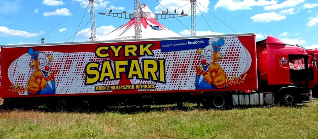 Cyrk Safari - rozstrzygnięcie konkursu