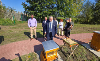 Pół miliona złotych na nowe pasieki edukacyjne w Wielkopolsce