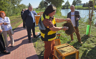 Pół miliona złotych na nowe pasieki edukacyjne w Wielkopolsce