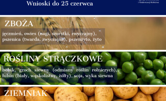 Materiał siewny 2020: finał naboru wniosków