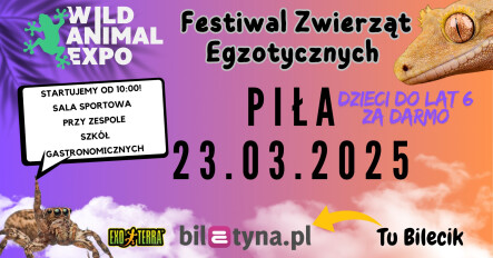 Festiwal zwierząt egzotycznych - grafika