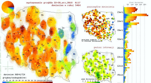 Gdzie na grzyby? Sprawdź mapę ich występowania - grafika