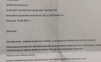 Czytelnik adoptował chorego kota. Schronisko nie pomogło w leczeniu 