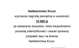 10 tysięcy złotych za wskazanie podpalacza 