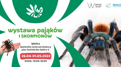 Wystawa pająków i skorpionów w Wałczu - grafika