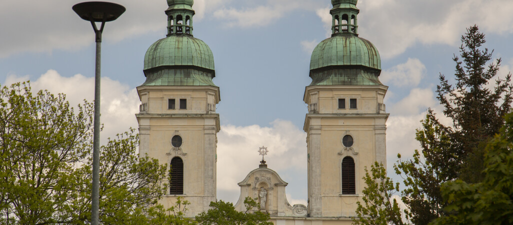 Wolontariusze będą dostarczać starszym i samotnym osobom lekarstwa i żywność