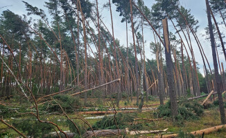 Zakaz wstępu do lasów po nawałnicy 