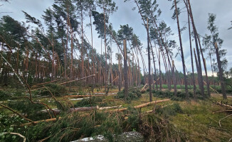 Zakaz wstępu do lasów po nawałnicy 