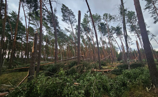 Zakaz wstępu do lasów po nawałnicy 