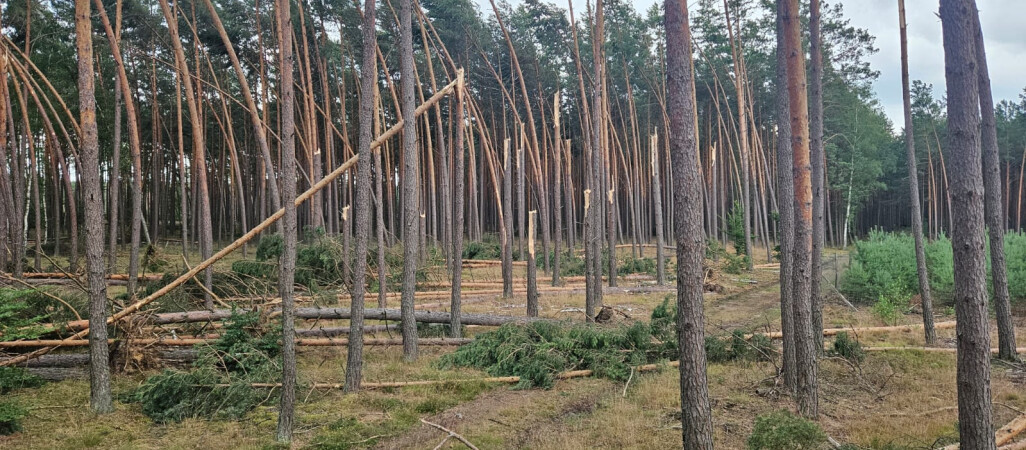 Spacer po Kuźniku odwołany