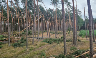 Zakaz wstępu do lasów po nawałnicy 