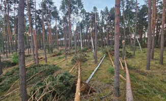 Zakaz wstępu do lasów po nawałnicy 