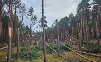 Zakaz wstępu do lasów po nawałnicy 