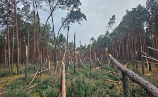 Zakaz wstępu do lasów po nawałnicy 