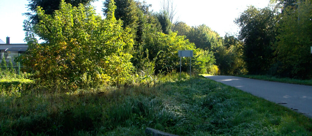 Wstrzymano prace przy budowie ścieżki rowerowej 