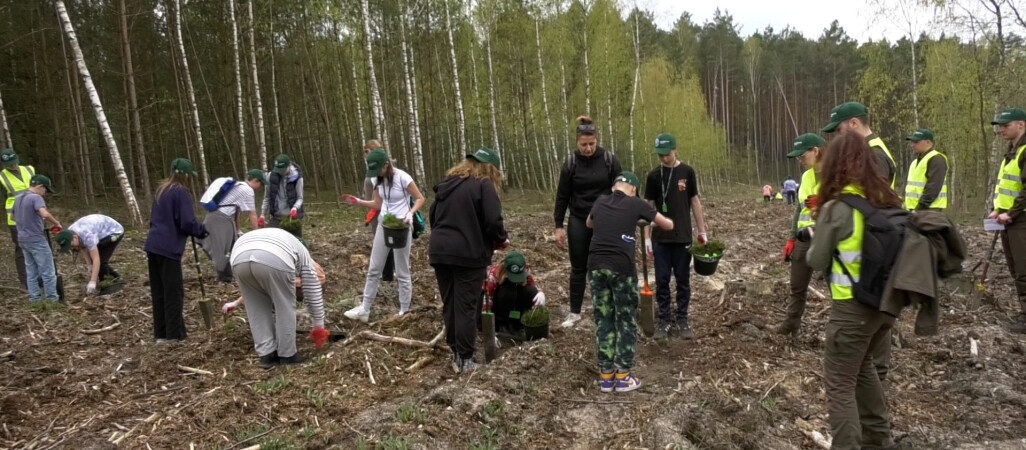 Las pamięci Jana Pawła II