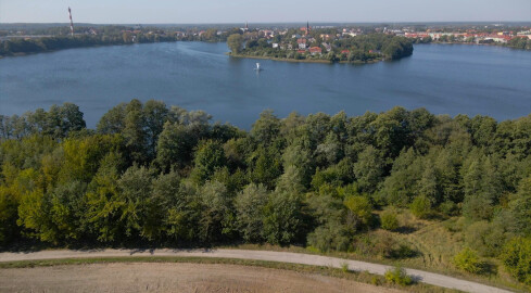 W Wałczu chronią zagrożone gatunki ptaków i nietoperzy  - grafika