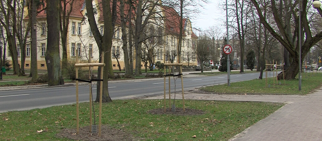 Lipy niezgody w Złotowie? 