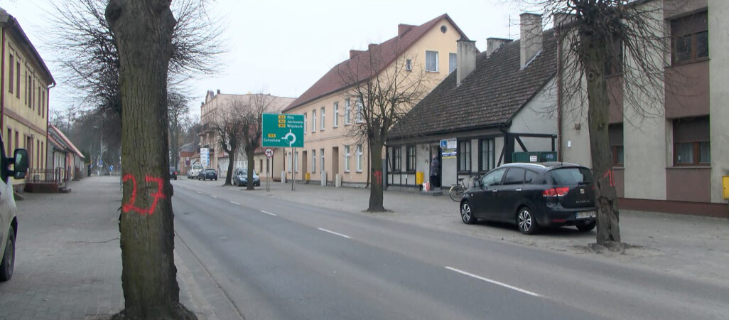 Drzewa miały pójść pod topór. Zostały uratowane 