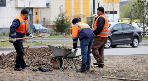 Praca na czarno. Nie będzie kary, gdy pracownik doniesie na szefa  - grafika