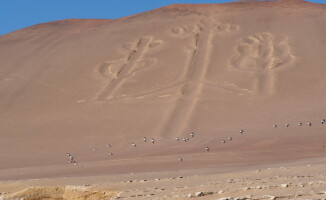 Małe Galapagos w Peru. Odwiedzimy też Nazca i Titicaca 