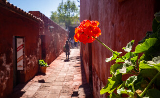 Arequipa i Lima dwa największe miasta w Peru 