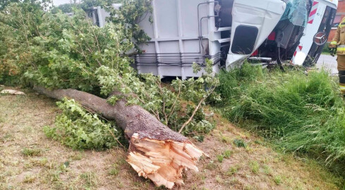 Burza dała o sobie znać w całym regionie. Trwa usuwanie skutków - grafika