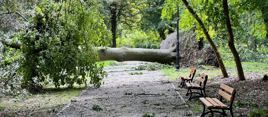 Burze, wichury, lokalnie grad i trąby powietrzne. IMGW alarmuje