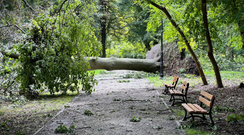 Burze, wichury, lokalnie grad i trąby powietrzne. IMGW alarmuje