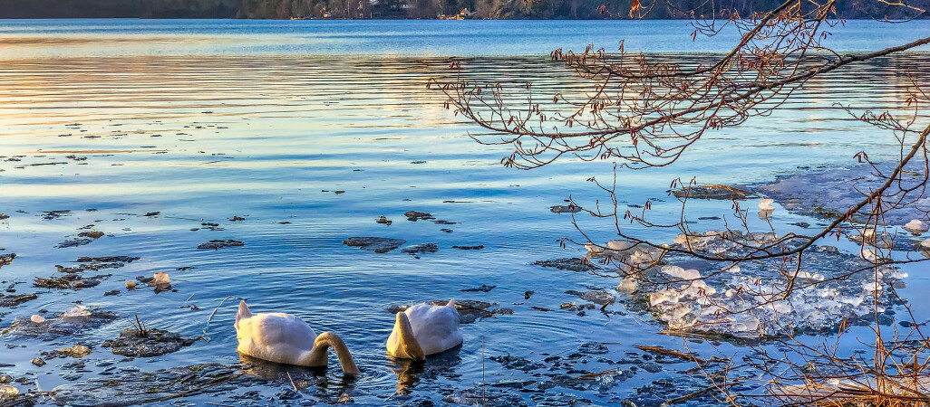 Prognoza pogody na nadchodzący tydzień