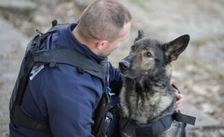 Pies - policjant odnalazł zaginionego 