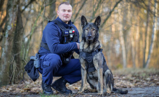 Pies - policjant odnalazł zaginionego 