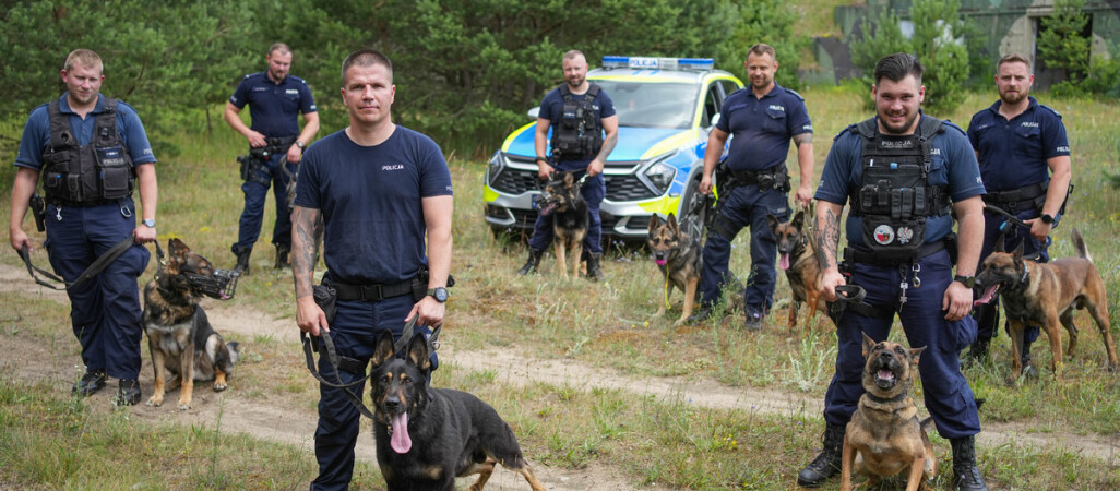 Węszą, patrolują, a kiedy trzeba – atakują