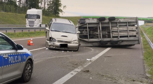 O lawecie, która wymknęła się spod kontroli - grafika