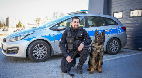 Czworonożny funkcjonariusz w szeregach pilskiej policji  - grafika