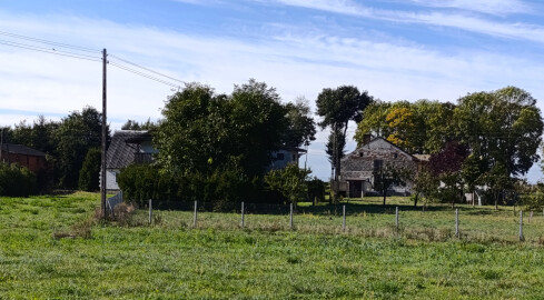 Mężczyzna zginął pod zawaloną ścianą. To nie był remont  - grafika