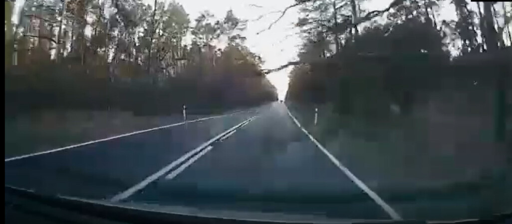 Na jadące auto spadło drzewo [FILM]