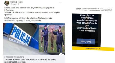 Mężczyzna zabił psa. Nie klikajcie! To oszustwo  - grafika