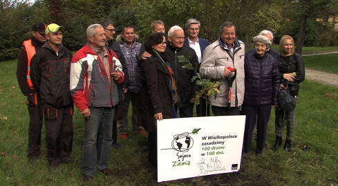 Leszek Miller posadził w Pile drzewko i zachęcał do głosowania  - grafika