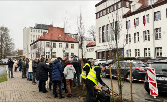 Posadzili graby przed budynkiem starostwa 