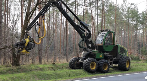 Uwaga kierowcy. Trwa wycinka drzew na DK11  - grafika