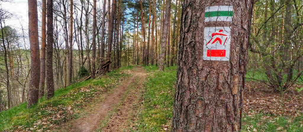 Znów będzie można iść na spacer do Kuźnika 