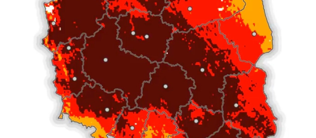 Ekstremalne zagrożenie pożarowe w lasach!