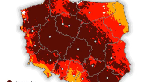 Ekstremalne zagrożenie pożarowe w lasach! - grafika