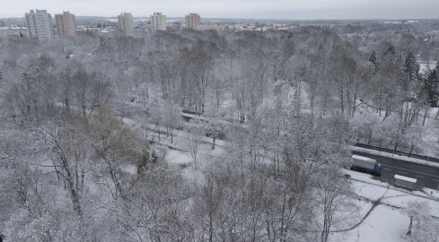 Czym jest śnieg i jak powstaje? - grafika