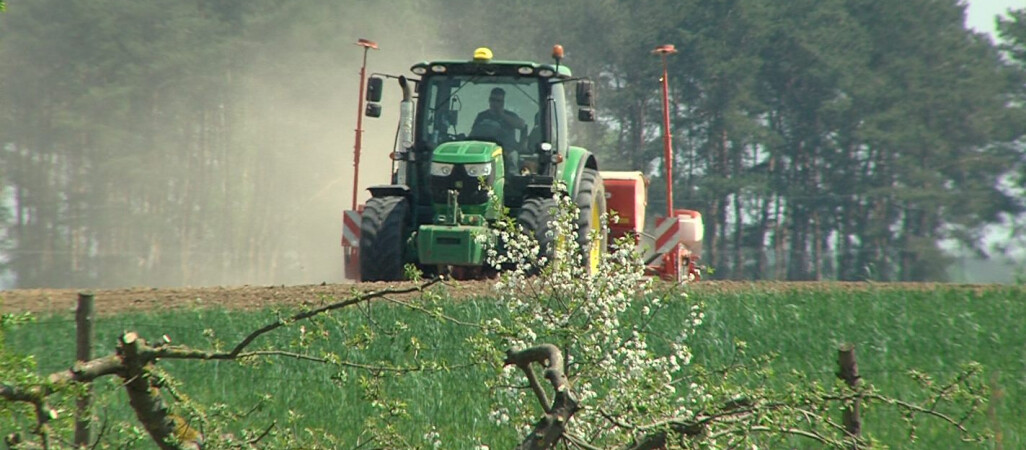 “Sytuacja na rynku zbożowym jest dramatyczna” – alarmuje KO