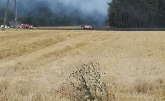 Duży pożar zboża pod Trzcianką