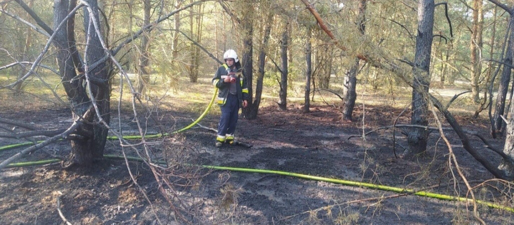 Pożary nieużytków w Krzyżu. Ogień zagraża lasom